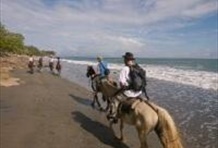 On The Beach Horseback Riding